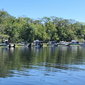 Weed Anchoring for lunch on the Hontoon Dead River.