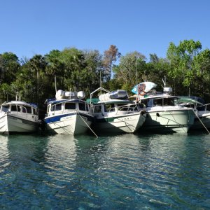 Rafted in Silver Glen Springs