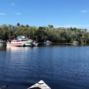 Anchored in Butchers Bend