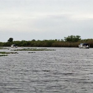 Anchored in Woodruff Creek