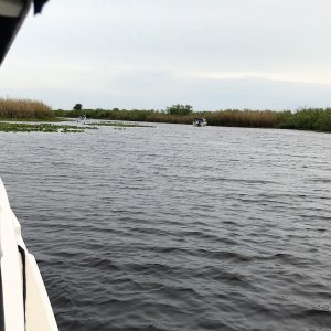 Anchored in Woodruff Creek