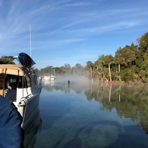 Morning in Silver Glen Springs