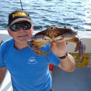 Media 'Jennis Bay Crabs' in album '12K cdory'