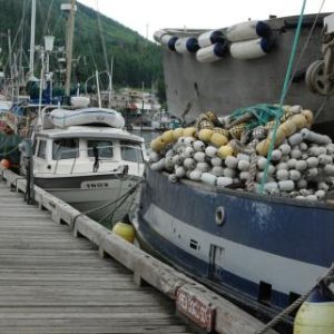 Knotty C with the Fishing Fleet in Wrangell, Alaska