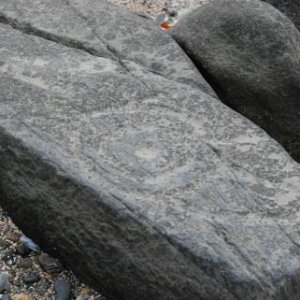 Petroglyphs in Wrangell