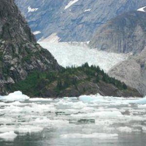 Dense Berge-bits from Le Conte Glacier