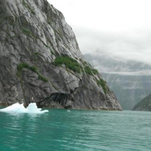 Tracy Arm Fiord