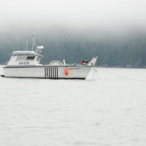 Gillnetter, near Grand Island, Stephens Passage