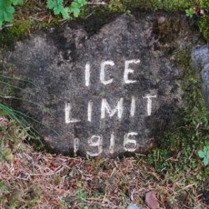 This is where the face of the Mendenhall Glacier was in 1916