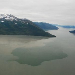 Entering Taku Inlet from Stephens Passage.  Incoming tide mixing saltwater with fresh silted water from glacial runoff.