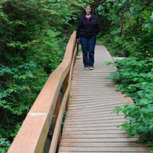 The heavy snow pack took it?s toll on the boardwalk too