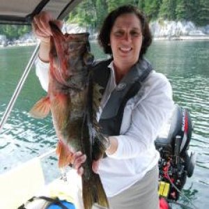Dee?s Rockfish