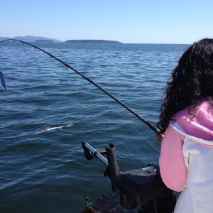 First fish landed was a seagull, second fish was a mud shark.............