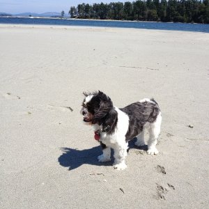 Enjoying at day at the beach