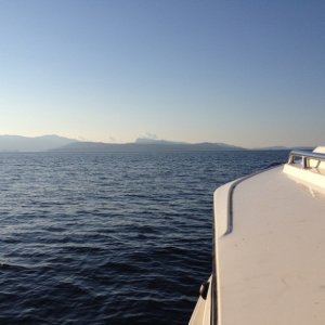 Another great day off of Sidney