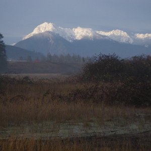 Hurricane ridge with a nice coat on.  Looks like this is country side, just out the back door.