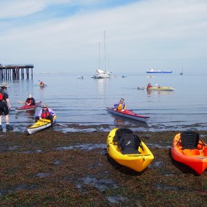 Kayak Days, Port Angeles. Lots to try, lots to buy.  Great day for it.