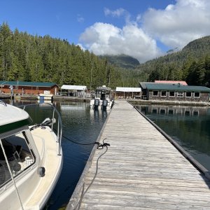 Critter Cove in Nootka Sound