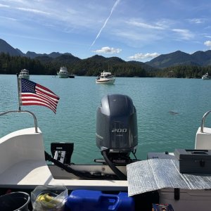 Media 'Queens Cove' in album 'Gold River boat ramp'