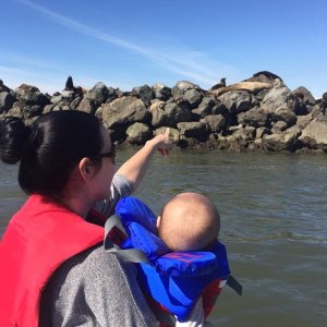 Media 'Sea Lions on Steveston Jetty by Sandheads' in album 'Grandson ( Chase ) & me. Boat name is Chase.n.Me'