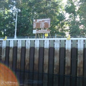 Media 'carolina loop 063' in album 'carolina loop 007'