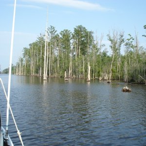 carolina loop 079
