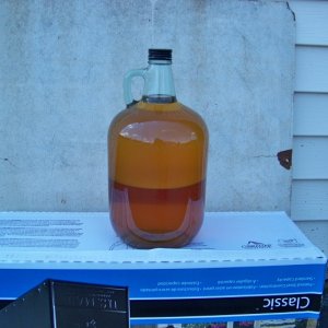 The reason we could not complete the loop with the rest of the gang. Phase seperation of ethanol gasoline and water that I pumped from Annalee's tank after we returned home Lot's more water in tank than what is shown here. But that's another story!