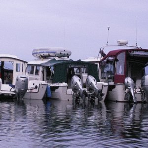 R-Matey, Halcyon and Daydream at Matia Cove 6-9-07