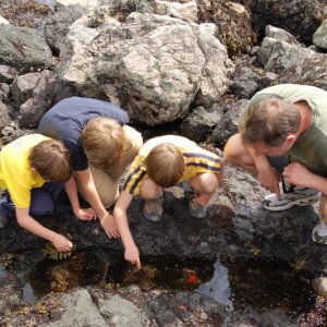 Tide pooling at Lime Kiln Park (San Juan Island).