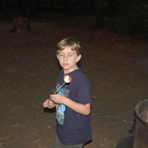 DSC 0348