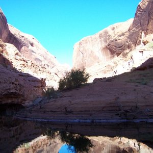 Seven Mile Canyon 11-13-10