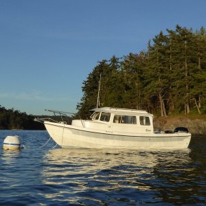 On the buoy at Skagit Island