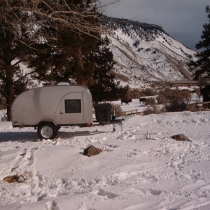 The bison in the background are bigger than the camper.