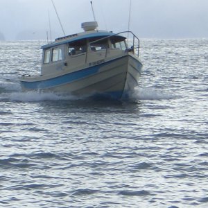 Media '(catdogcat) Dang nice boat' in album '(catdogcat) Dang nice boat'