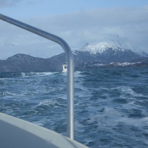 (catdogcat) 4/5 foot seas.  They always seem to look bigger in person.