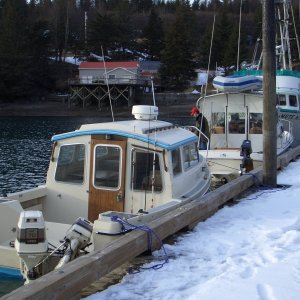 (catdogcat) Halibut Cove State dock.
