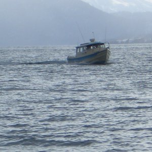 (catdogcat) Nice boat