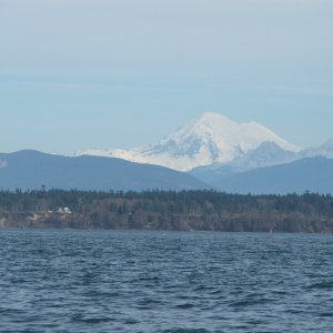 (c-dancer) Another Shot-Mount Baker-Padilla Bay-Feb 2006