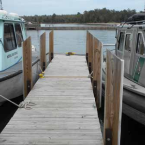 Media 'NPS Dock Vertical Rub Rail Installation' in album 'Fender Board side view'