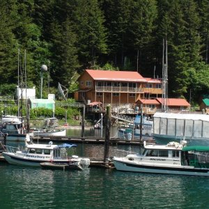 Elfin Cove