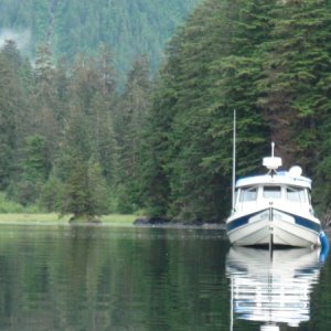 Gut Bay, Baranof Island anchorage