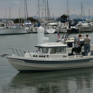 The Benicia C-Dog Bash