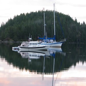 C-Cakes at Von Donop Inlet