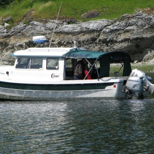 Halycon at Octopus Islands Marine Park