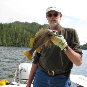Rockfish