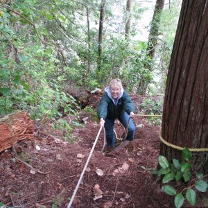 Media 'On the trail from Echo Bay to Billy Proctors' in album 'Discovery, Dreamer and C-Cakes at Lagoon Cove 2011'