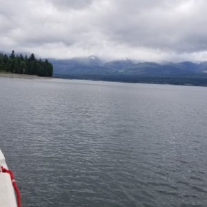 Henry Bay