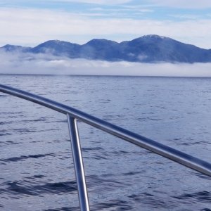 Fog on Ernest Sound