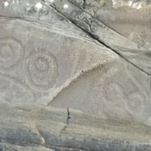 Petroglyphs1