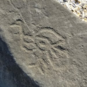 petroglyphs2